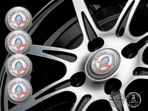 Shelby Calcomanías Bombadas Custom Logos Premium de Aro